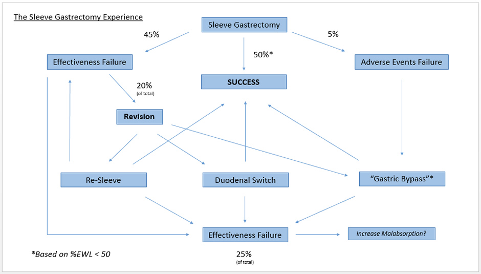 The Sleeve Gastrectomy experience